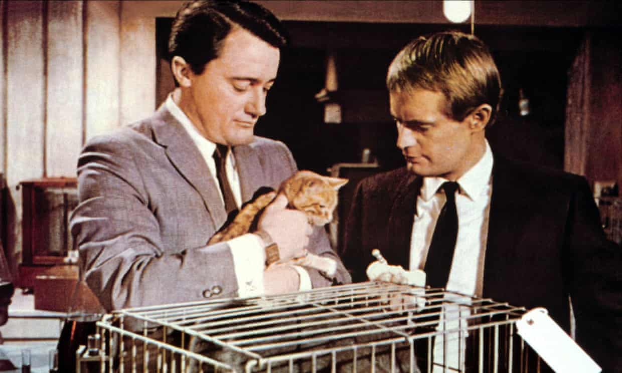 Robert Vaughn and David McCallum in The Man from UNCLE