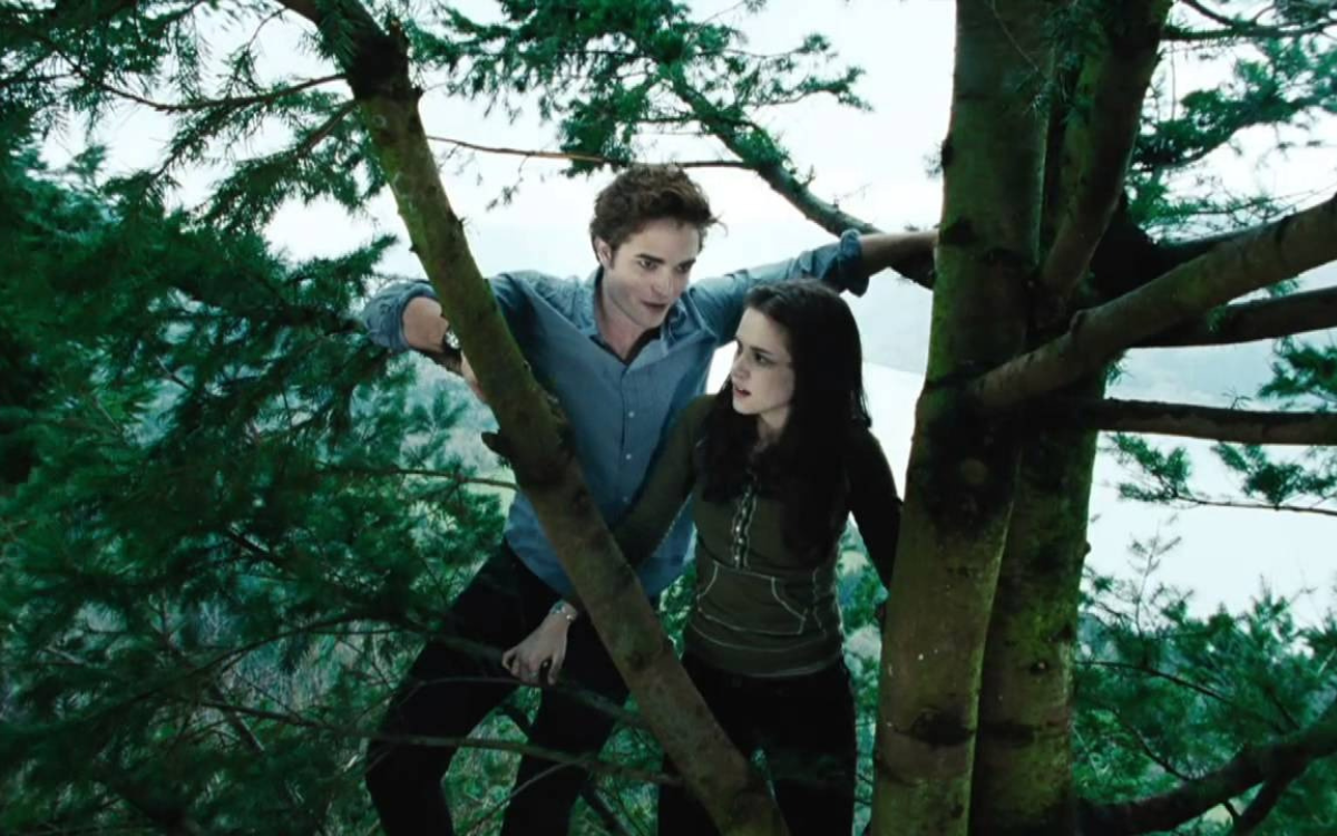 So What Is Twilight About