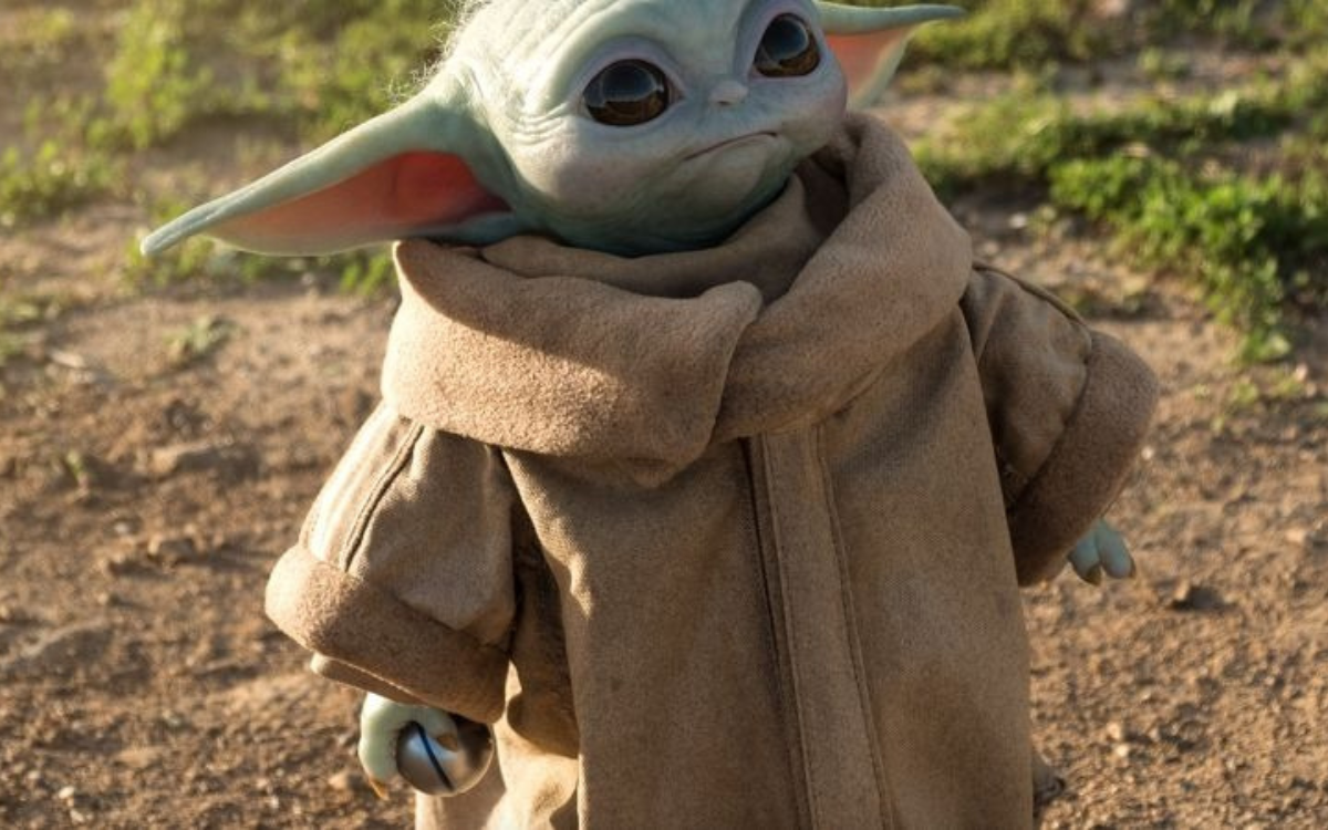 The Child (AKA The Asset AKA Baby Yoda)