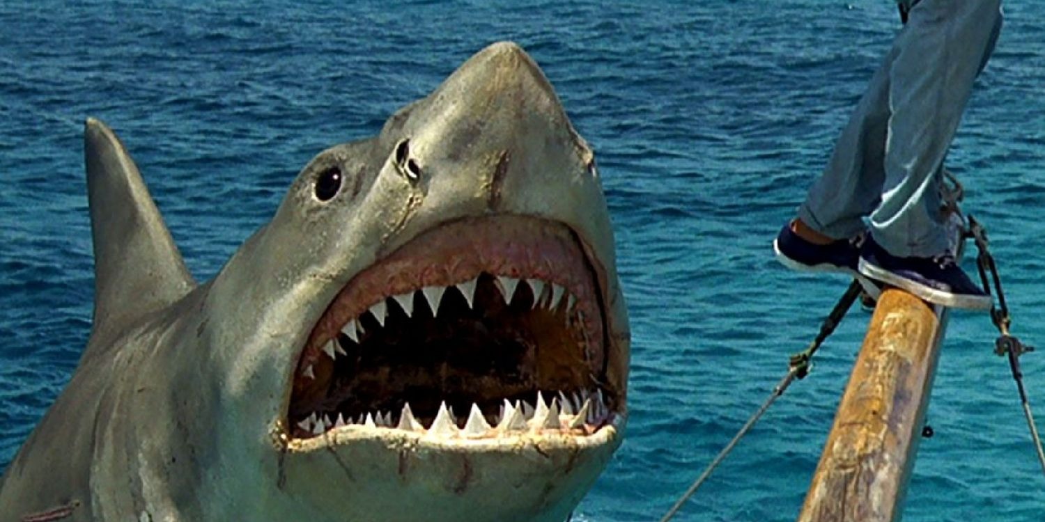 the shark in jaws the revenge